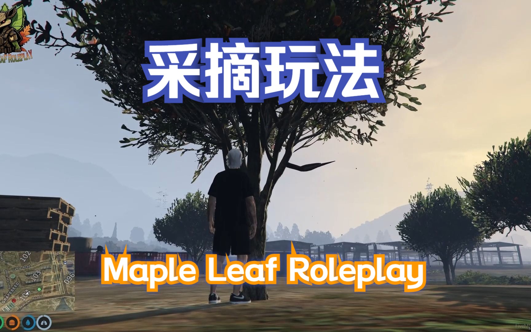 [图]【FiveM】Maple Leaf Roleplay采摘玩法