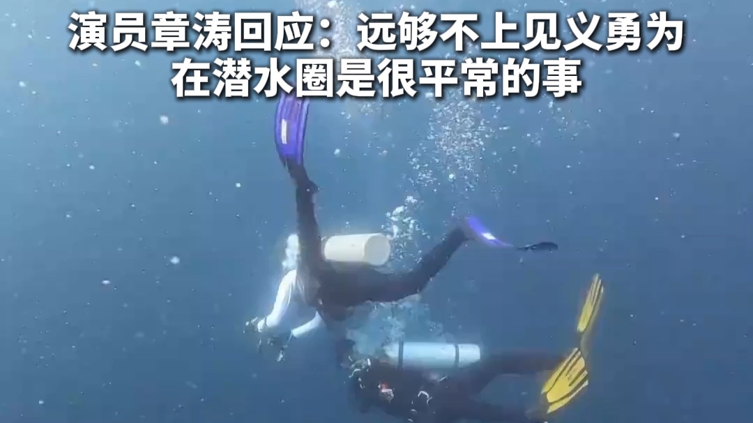 女子国外潜水遇险被中国演员救下，演员章涛回应：远够不上见义勇为，在潜水圈是很平常的事