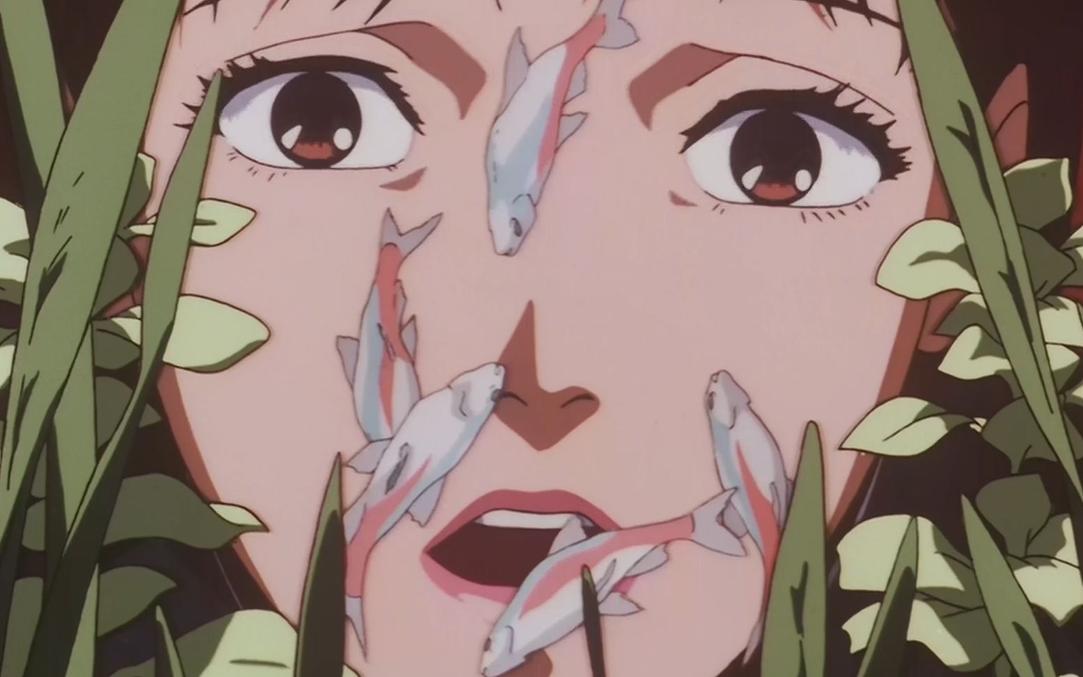 沦为三级影星后她把刀刺向了摄影师未麻的部屋