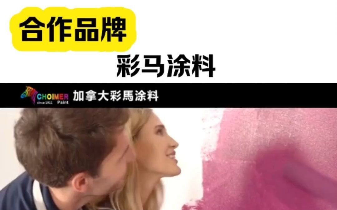 62合作品牌:彩马涂料