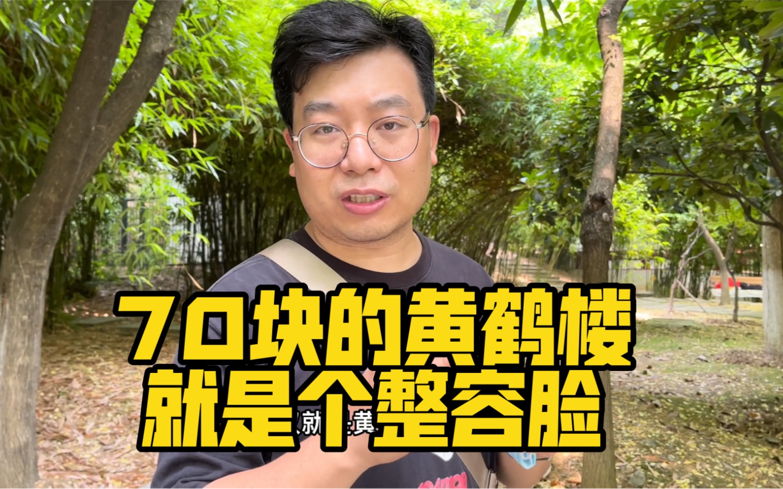 武汉标志黄鹤楼装电梯?70块的人造景点真不值,成功把我劝退了哔哩哔哩bilibili