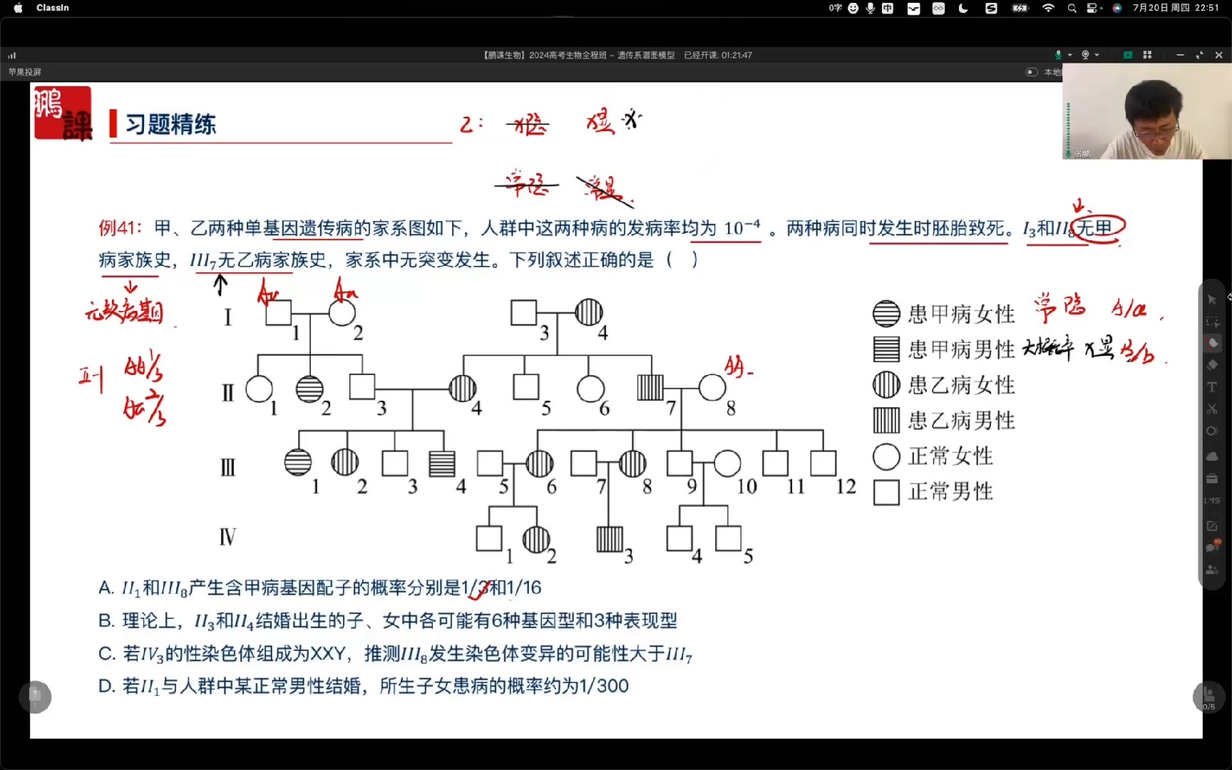 高中生物遗传图谱图片