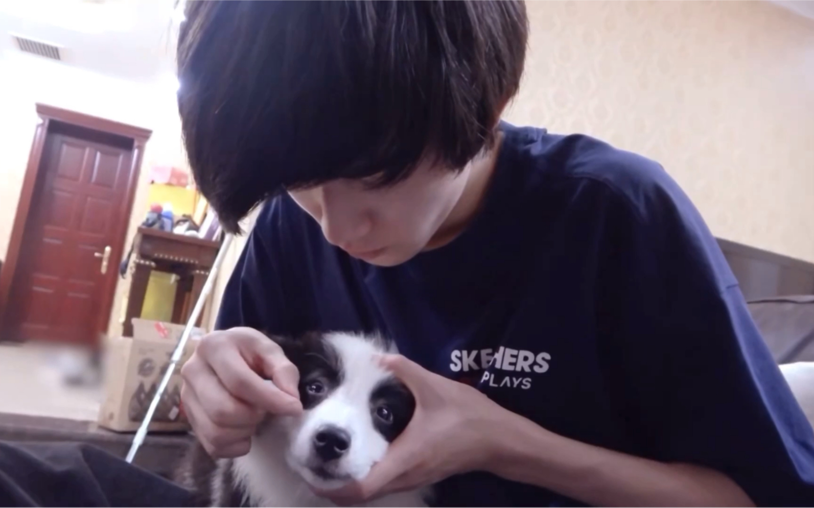 宋鼠标陪你长大真是件有成就感的事你是我的养成系也是我的家人