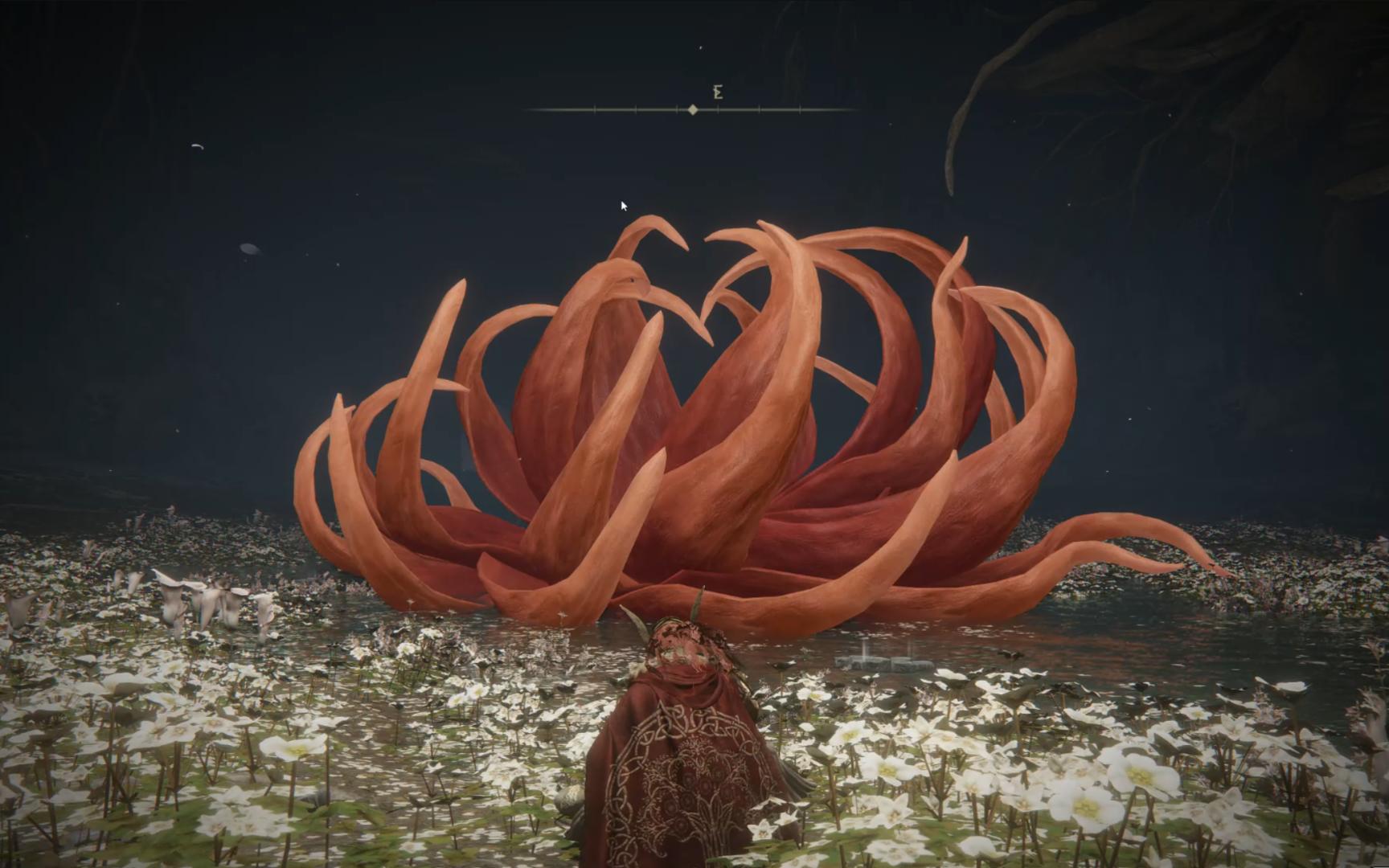 法环菜鸡的等待dlc-颚齿斧-拉达冈