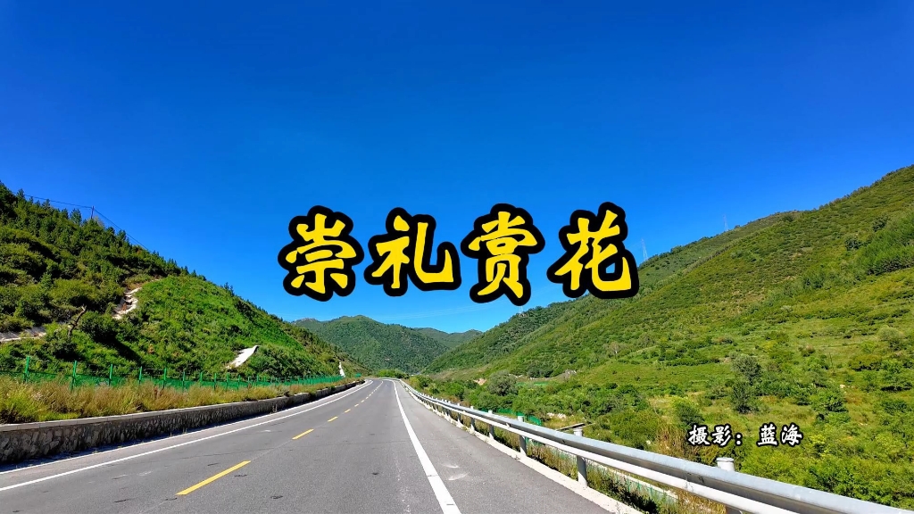 《河北之旅》第6集《崇礼赏花》哔哩哔哩bilibili