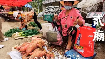 Descargar video: 二庙大集 十字街头被顾客不断催单的好吃塌煎饼 设计巧妙的玉米棒机器 汇集宠物 花卉 瓜果蔬菜 唱戏 理发 书画 烟斗 八卦镜 视频播放器 光盘 根雕 水煎包 炸