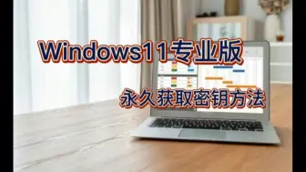 Download Video: 如何激活windows11专业版？win 11永久获取密钥方法在这里