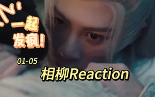 Download Video: 【Reaction】被檀健次相柳帅到睡不着，不如一起发疯啊！分享观后感