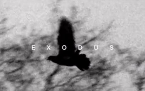 [图]【逃脫】EXO EXODUS Teasers (Pathcode)