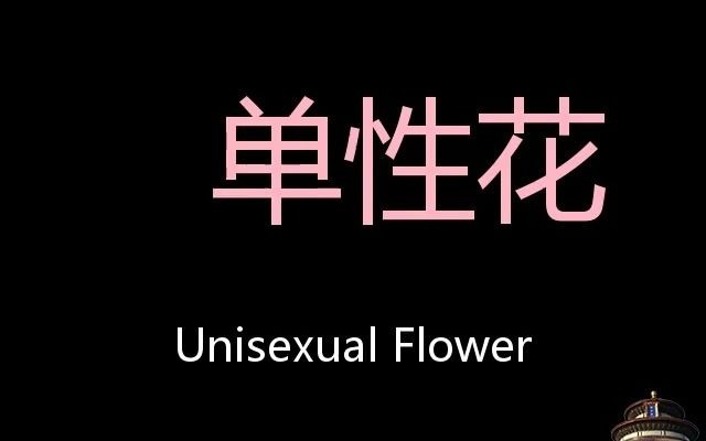 单性花 Chinese Pronunciation Unisexual flower哔哩哔哩bilibili