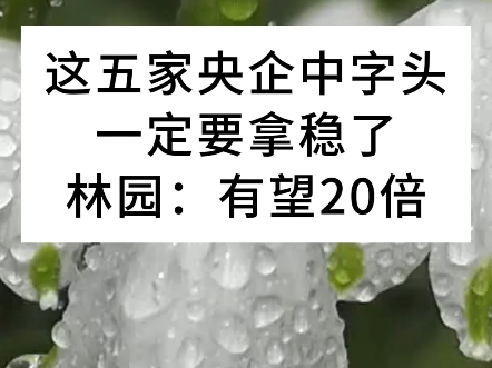 中国股市,这5家央企中字头,拿稳了,足以养老!哔哩哔哩bilibili