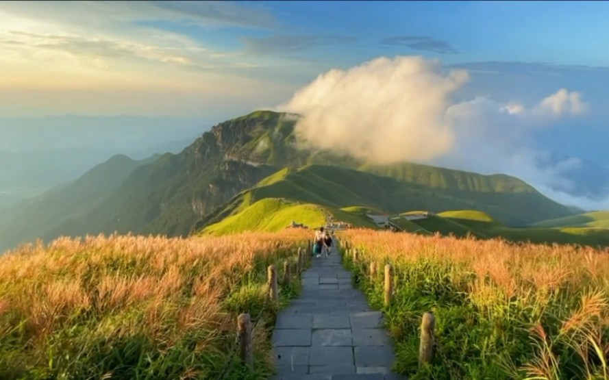 “喜欢夏天的风景,光很温柔也很清晰”哔哩哔哩bilibili