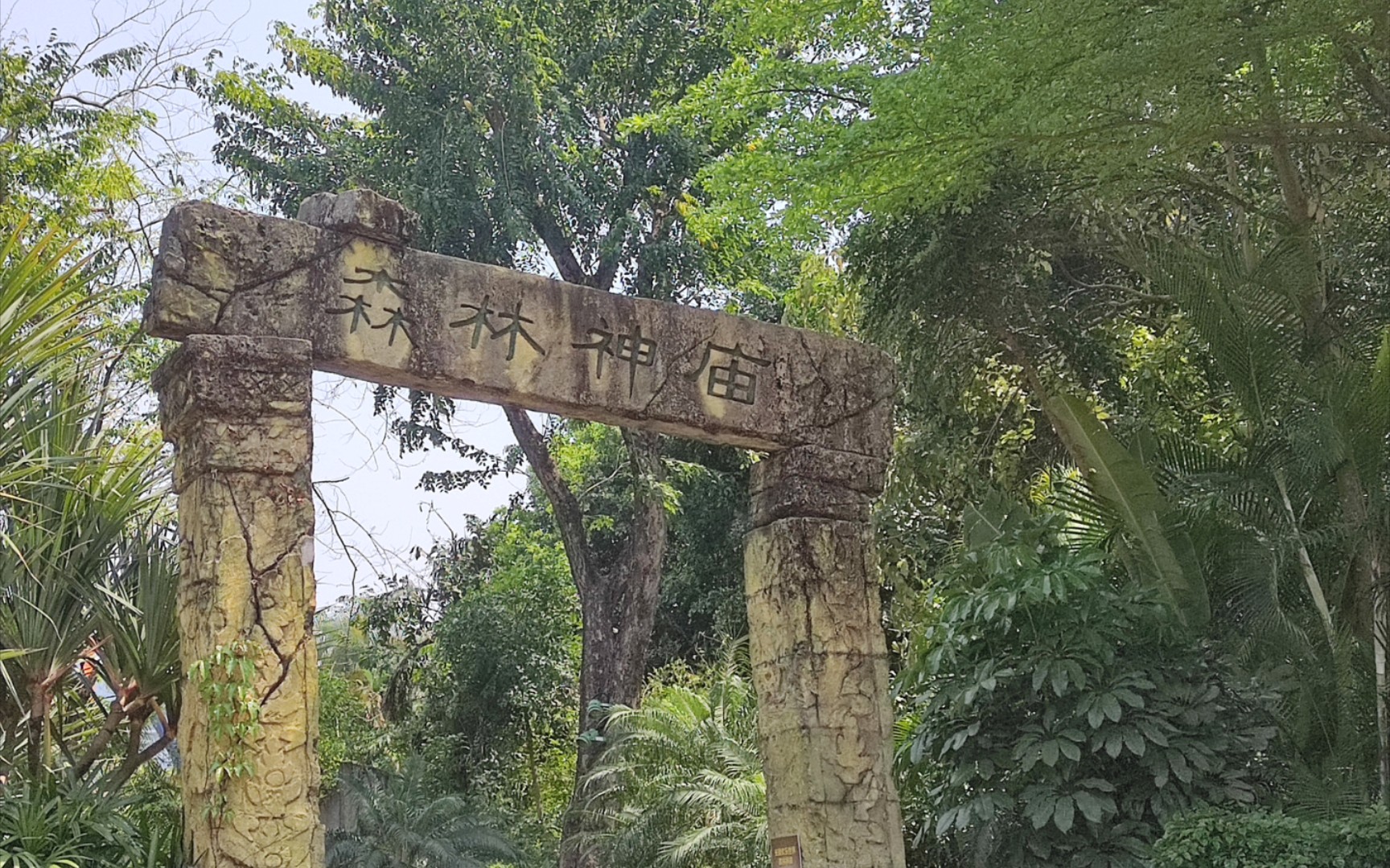 活动作品清存货part1长隆森林神庙不要害怕不要害怕doge