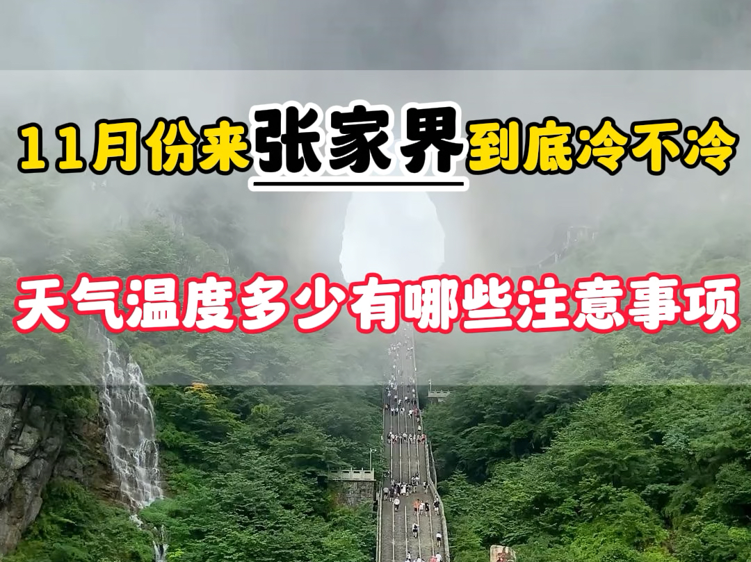 11月份来张家界冷不冷?天气温度在多少?有哪些注意事项?准备多少天和预算?这个视频告诉您#张家界旅游攻略 #张家界天门山 #张家界旅游 #张家界森林...