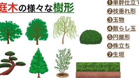 剪定技巧 哔哩哔哩 つロ干杯 Bilibili