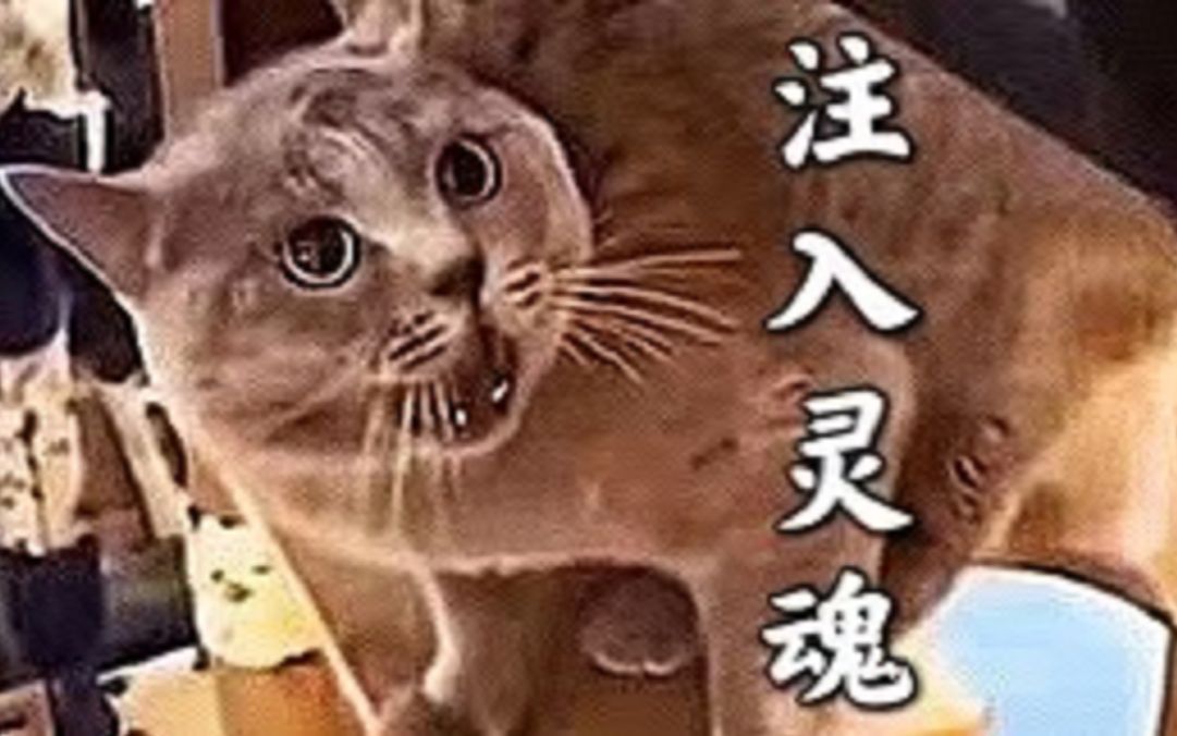 [图]猫咪歌原创来了！我把猫呕吐的声音做成了一首歌！！！