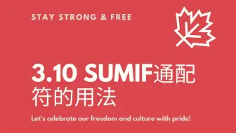 3.10 sumif通配符的用法