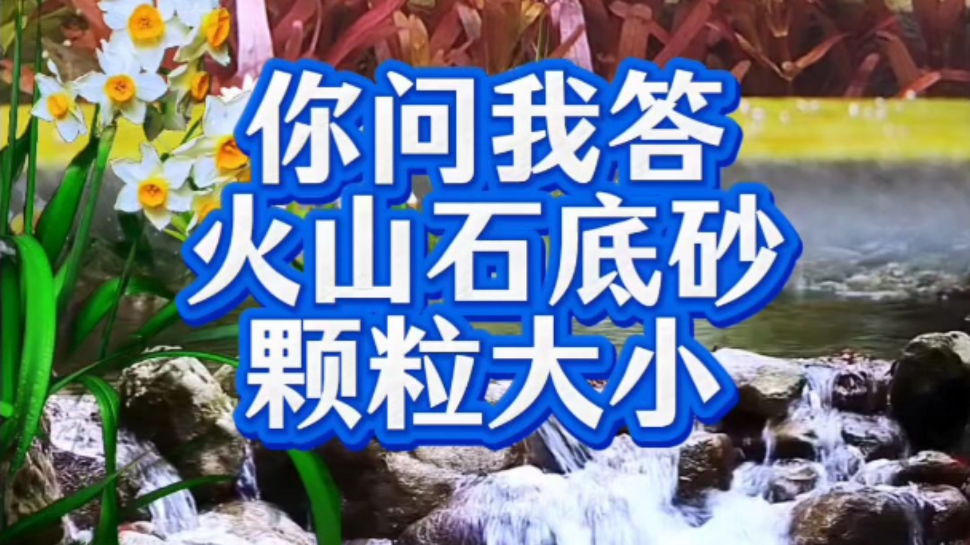 种水草到底选多大颗粒的火山石?看完答案恍然大悟!种水草用火山石选多大的好?火山石颗粒种水草底砂粒径的大小选择.用火山石颗粒栽种水草,粒径选...