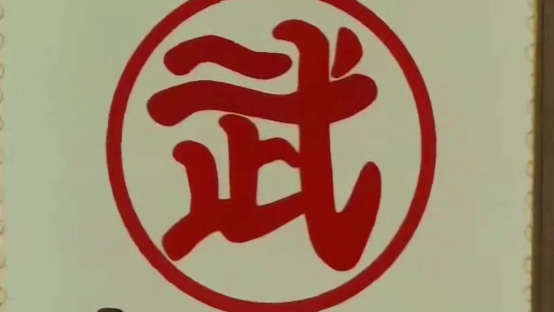 龙珠解说:孙悟空和克林,去参加天下第一武道会,ko对手进入8强.aud