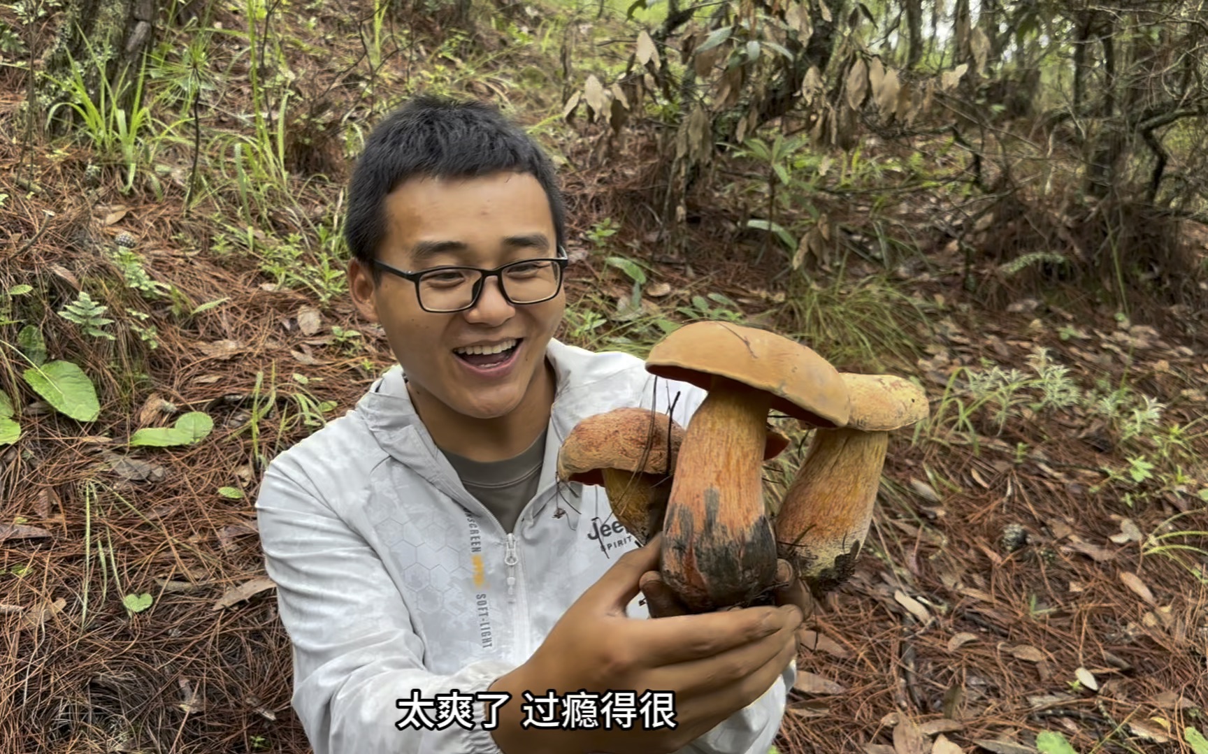 梦里才有的场景,菌子一窝接一窝,捡不完也停不下来,已经麻木了哔哩哔哩bilibili