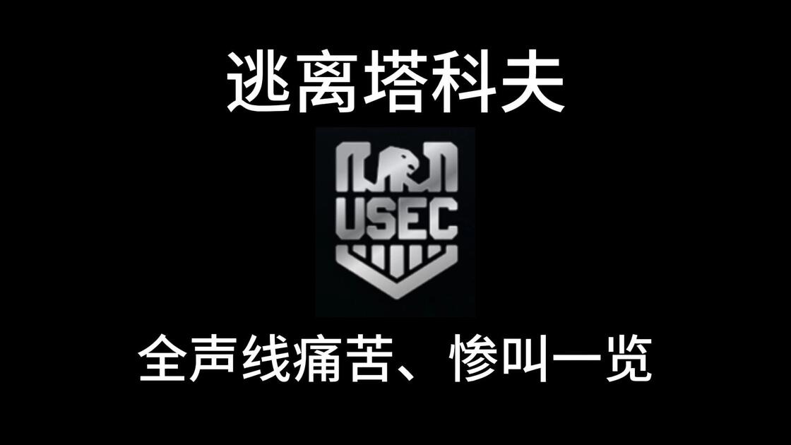[音量警告！]逃离塔科夫USEC阵营全声线痛苦、惨叫一览_游戏热门视频