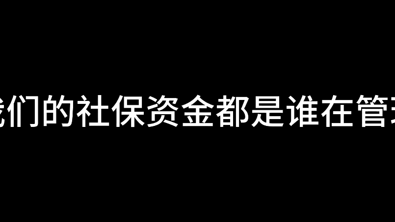 到底是谁在管我们的社保资金?哔哩哔哩bilibili