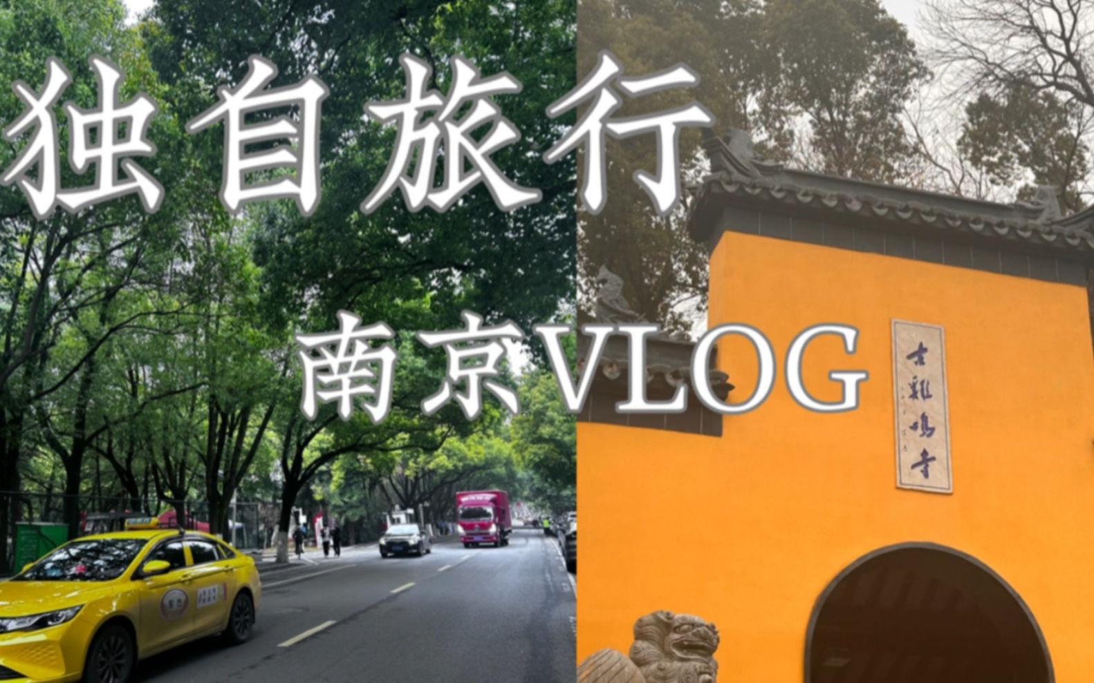 【女大学生独自旅行|南京vlog】好喜欢南京哇 水树风闲|南京城要把我偷走啦哔哩哔哩bilibili