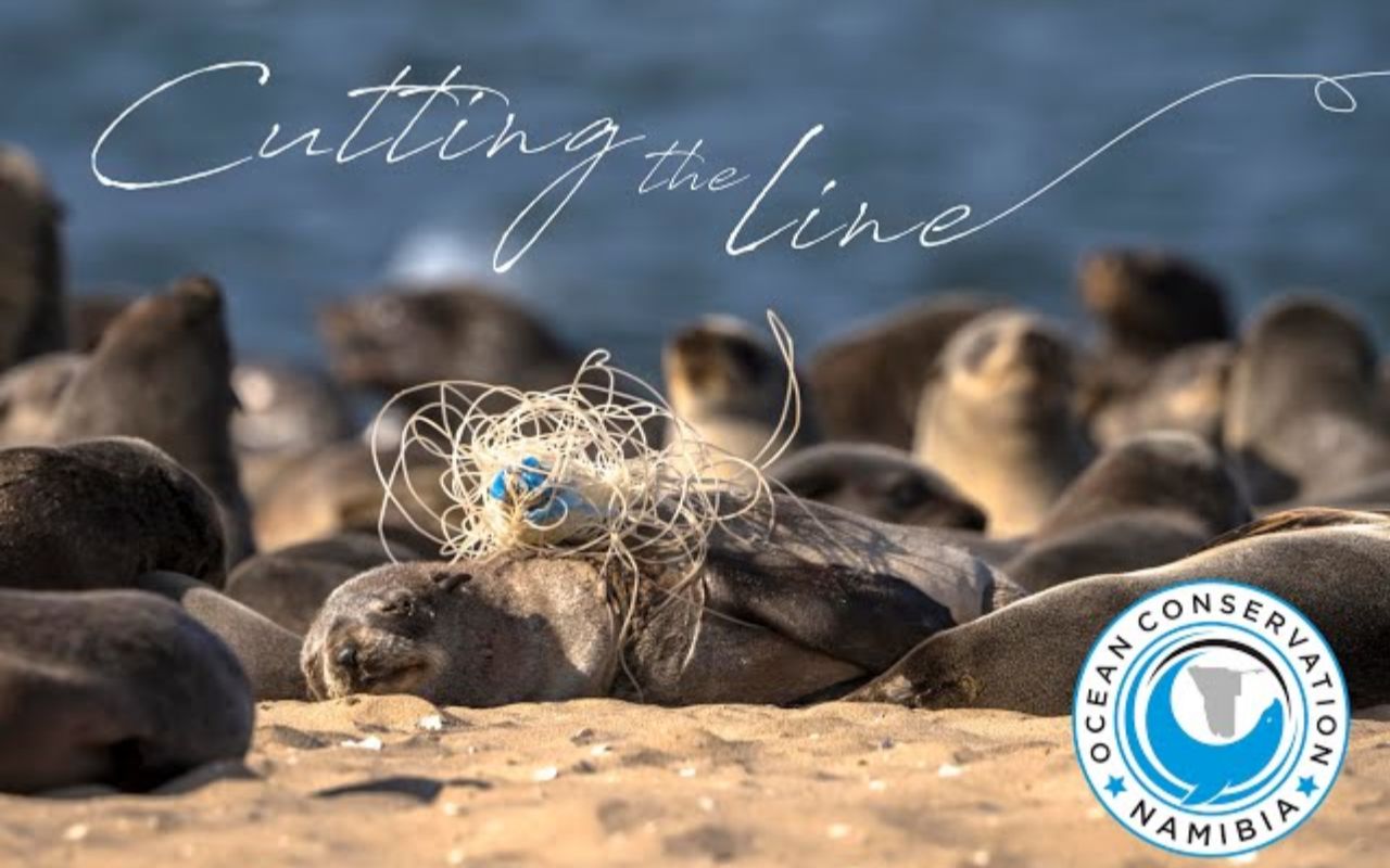 纳米比亚海洋保护队2022年度预告片"cutting the line"_哔哩哔哩_bili
