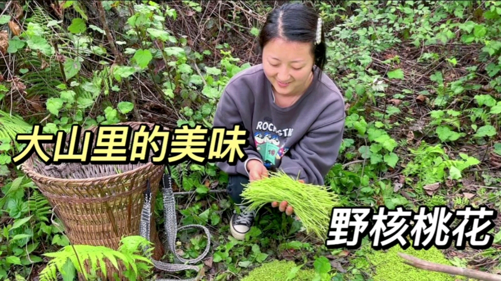 [图]姐妹俩上山采野菜啦！今天这个野菜味道不一般，你们吃过吗？