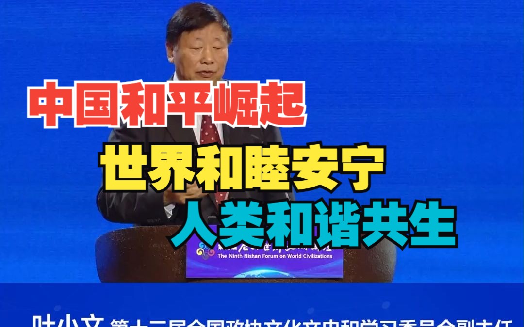 尼山论坛丨第十三届全国政协文化文史和学习委员会副主任叶小文:中国和平崛起 世界和睦安宁 人类和谐共生哔哩哔哩bilibili