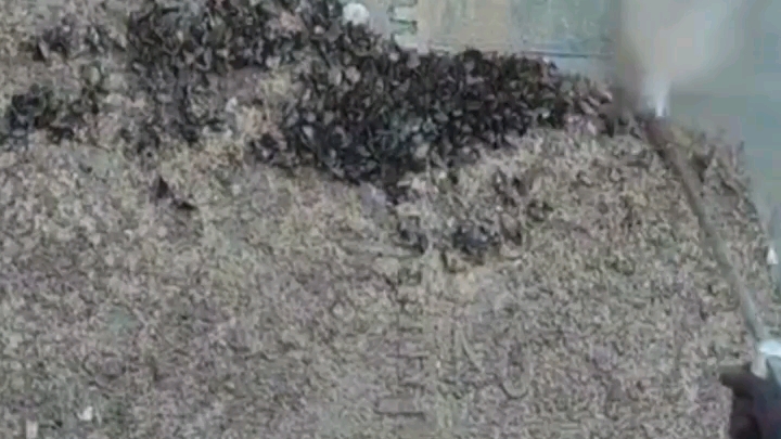 闯王机械设备—船底清洗