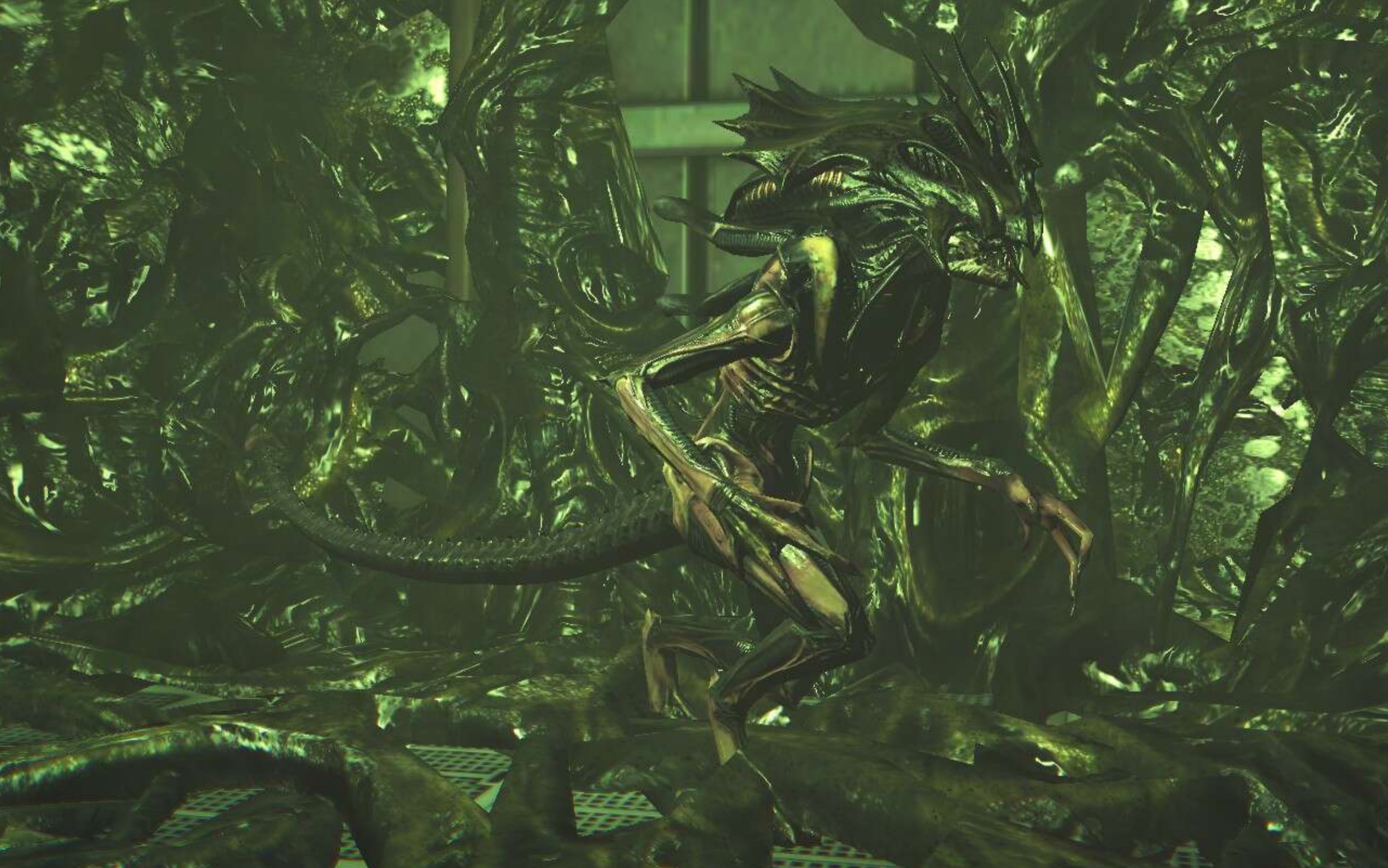 【异形殖民军】国内灭绝模式欢乐联机_哔哩哔哩 (゜-゜)つロ 干杯