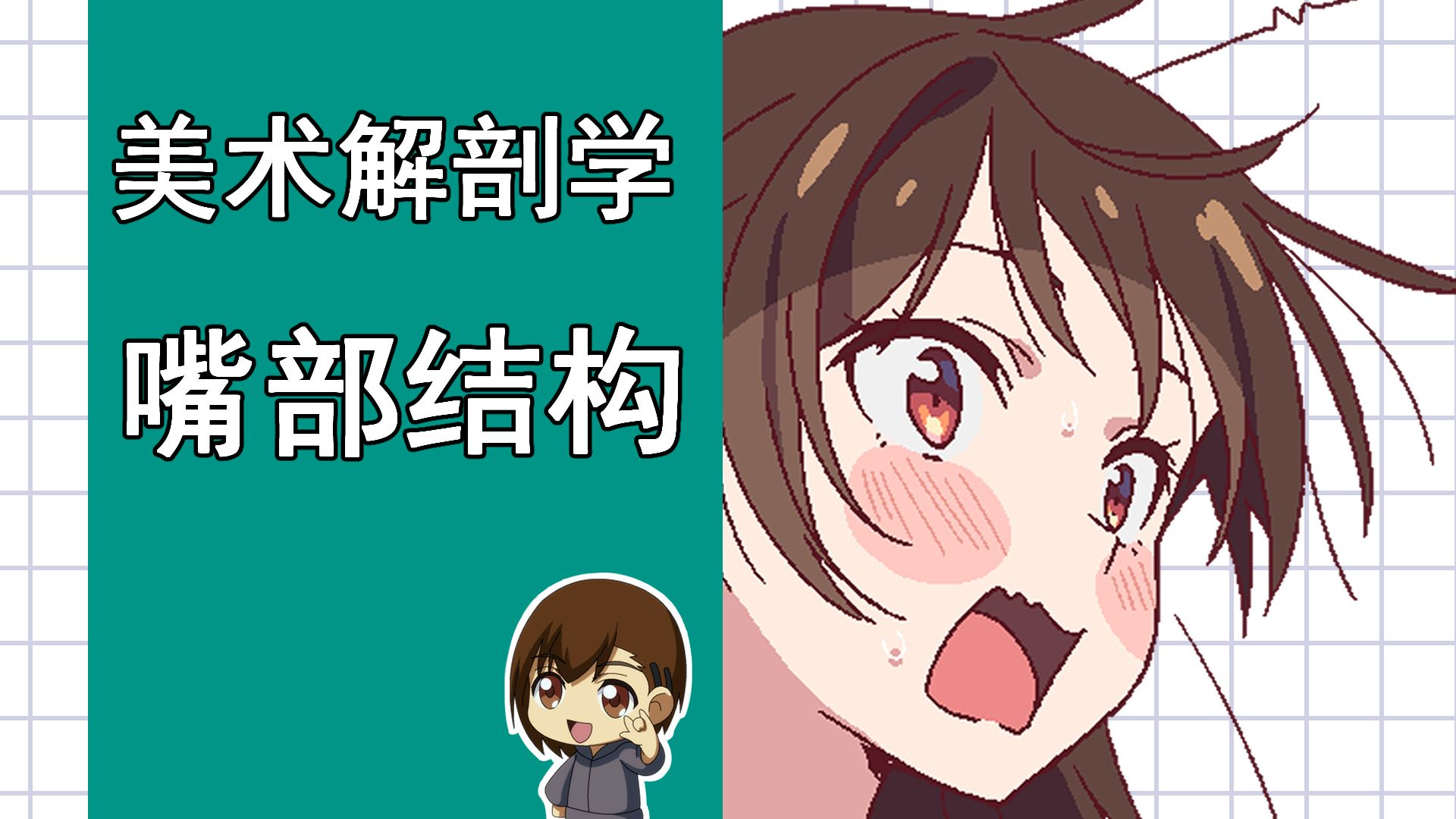 美术解剖学-27-嘴部结构