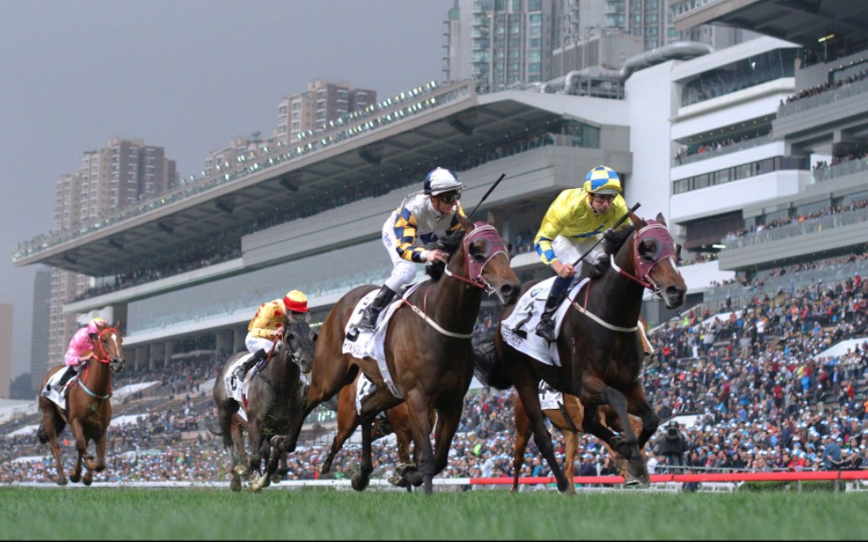 [图]2016 寶馬香港打吡大賽(HKG1) —— 明月千里(Werther)