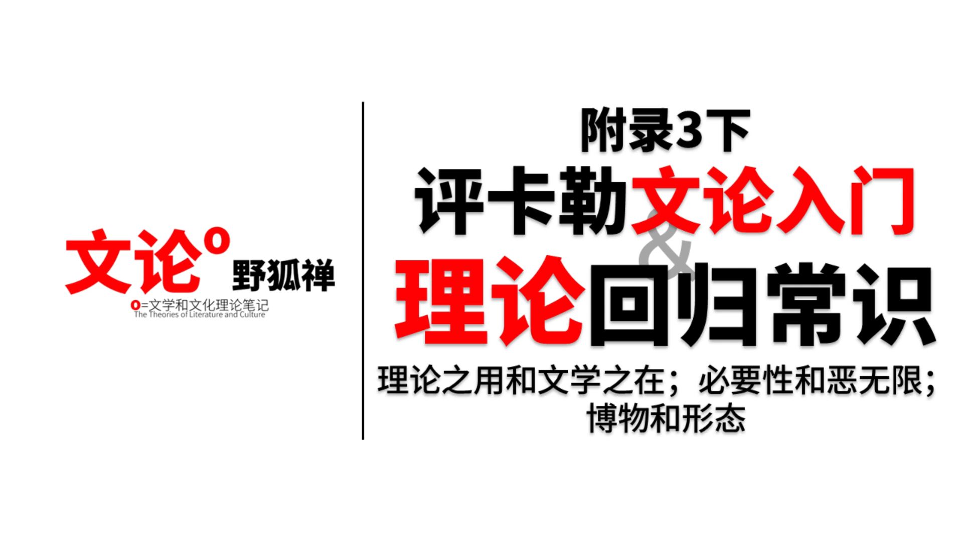 【文论野狐禅】附录3下 评卡勒文论入门 让理论回归常识  文学理论和文化理论笔记系列哔哩哔哩bilibili