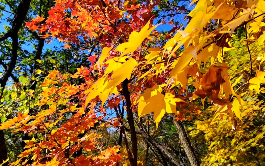 印象牡丹峰国家森林公园