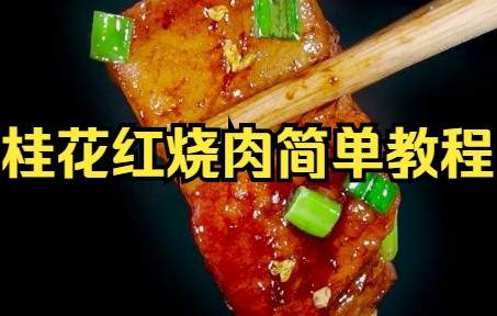 【红烧肉】桂花红烧肉的家常做法,咬一口满满桂花香,经久不忘哔哩哔哩bilibili