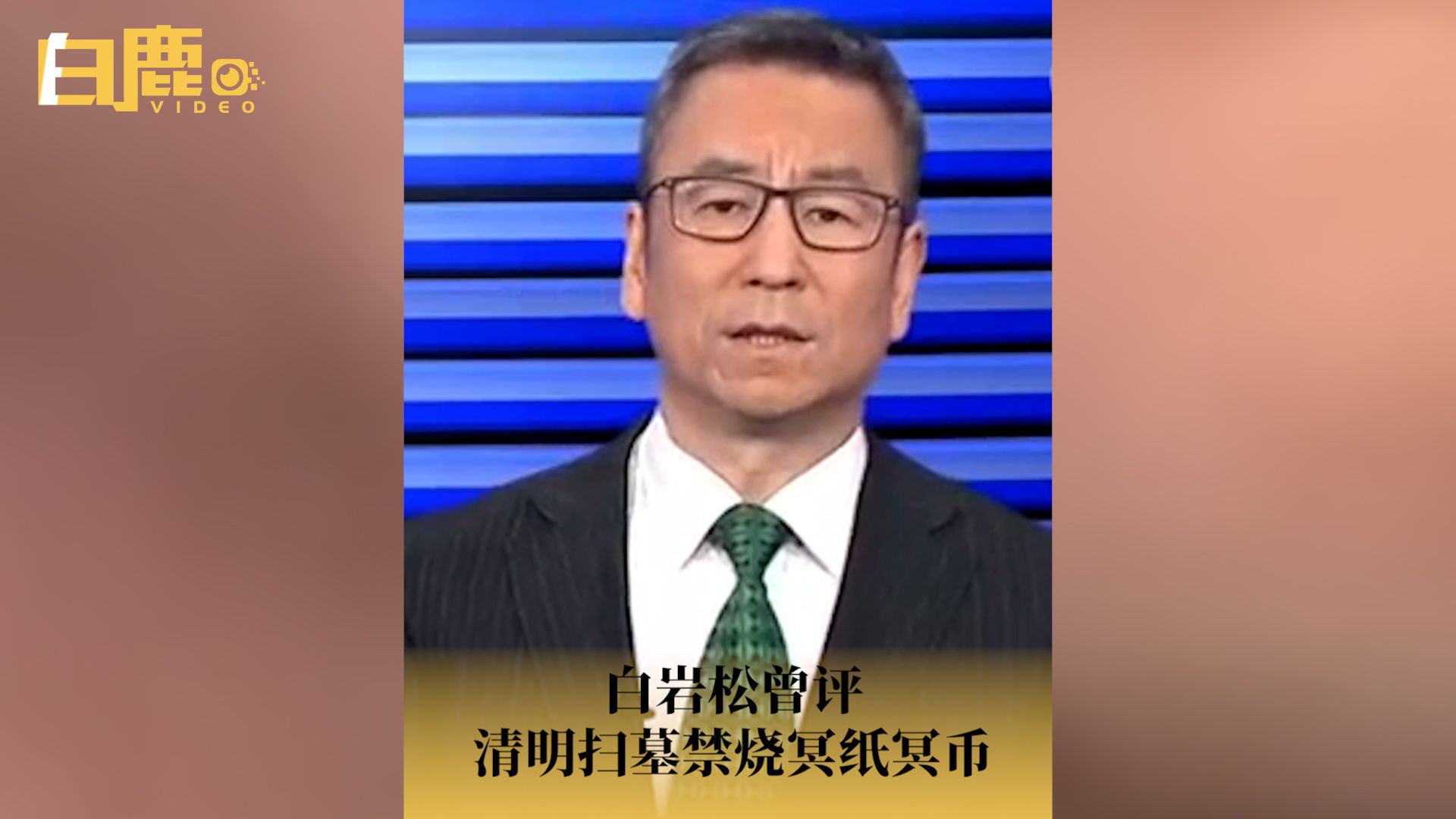 白岩松曾评清明扫墓禁烧冥纸冥币哔哩哔哩bilibili