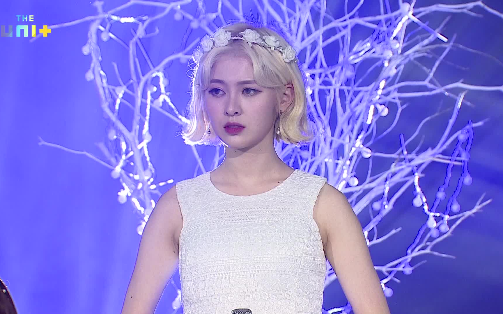 the unit/dia 白豫彬 - last dance 直拍