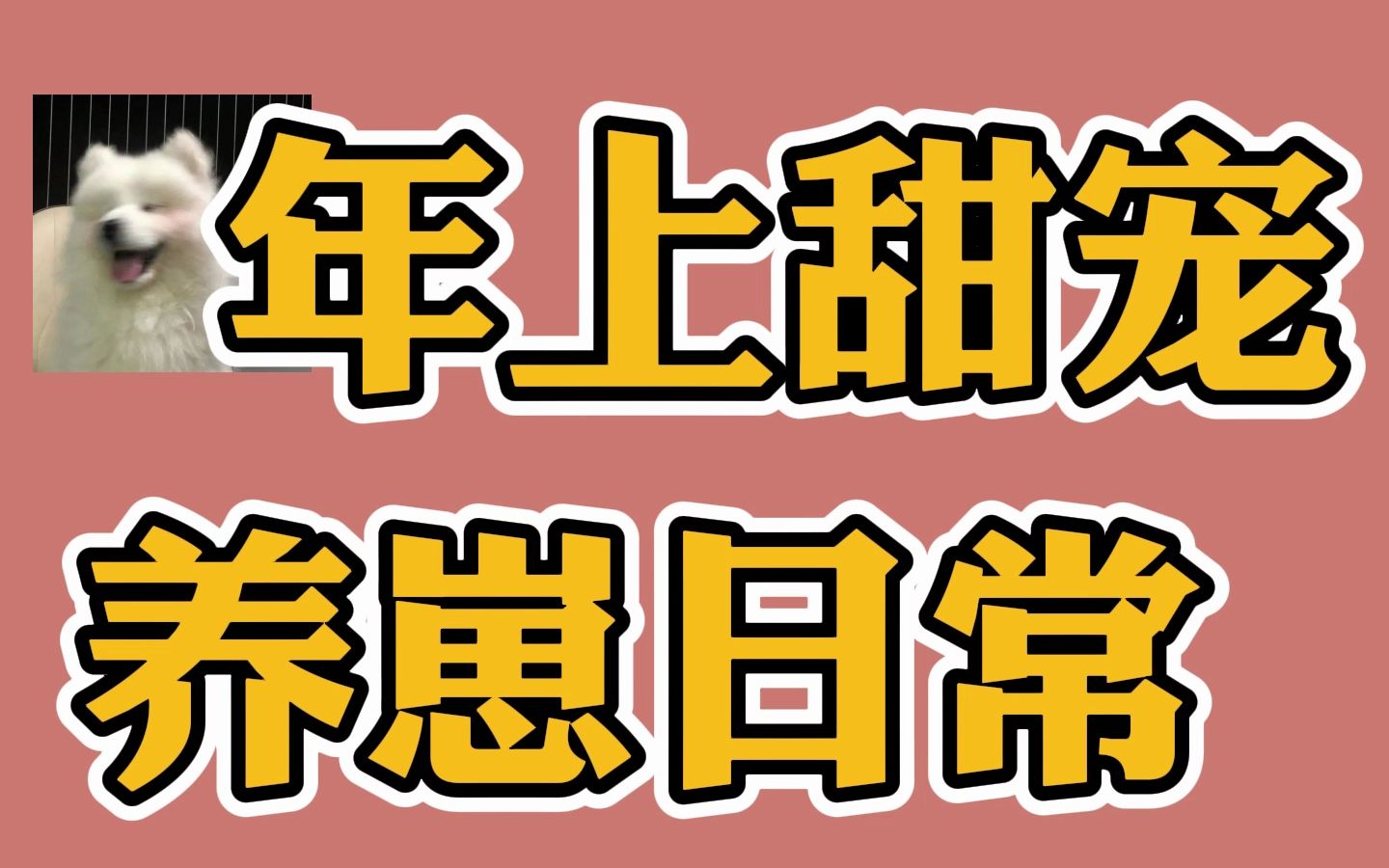 《小狗饲养手册》推荐!bl纯爱小狗年上甜宠养崽日常哔哩哔哩bilibili