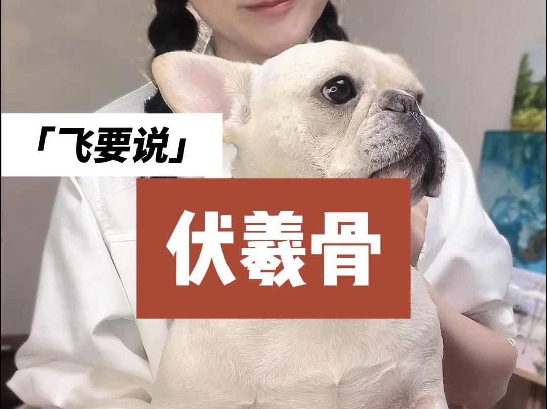 伏羲骨是什么?哔哩哔哩bilibili