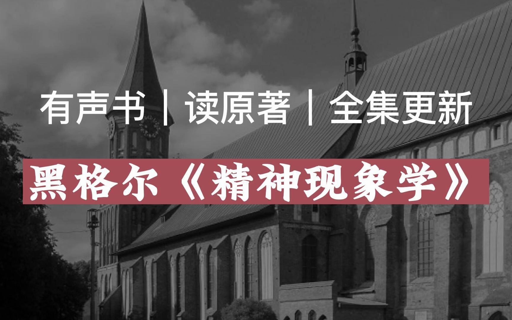 【有声读物】黑格尔《精神现象学》|读原著|有声书|全集|求赞求币哔哩哔哩bilibili