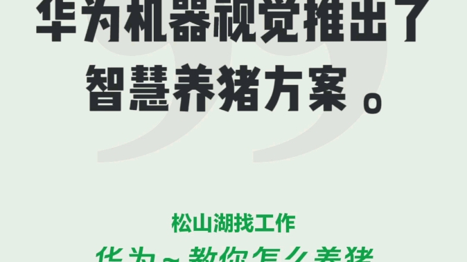 华为教你怎么养猪