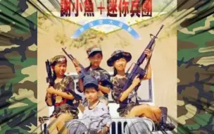 下载视频: 新七龙珠～谢小鱼+迷你兵团（1991）