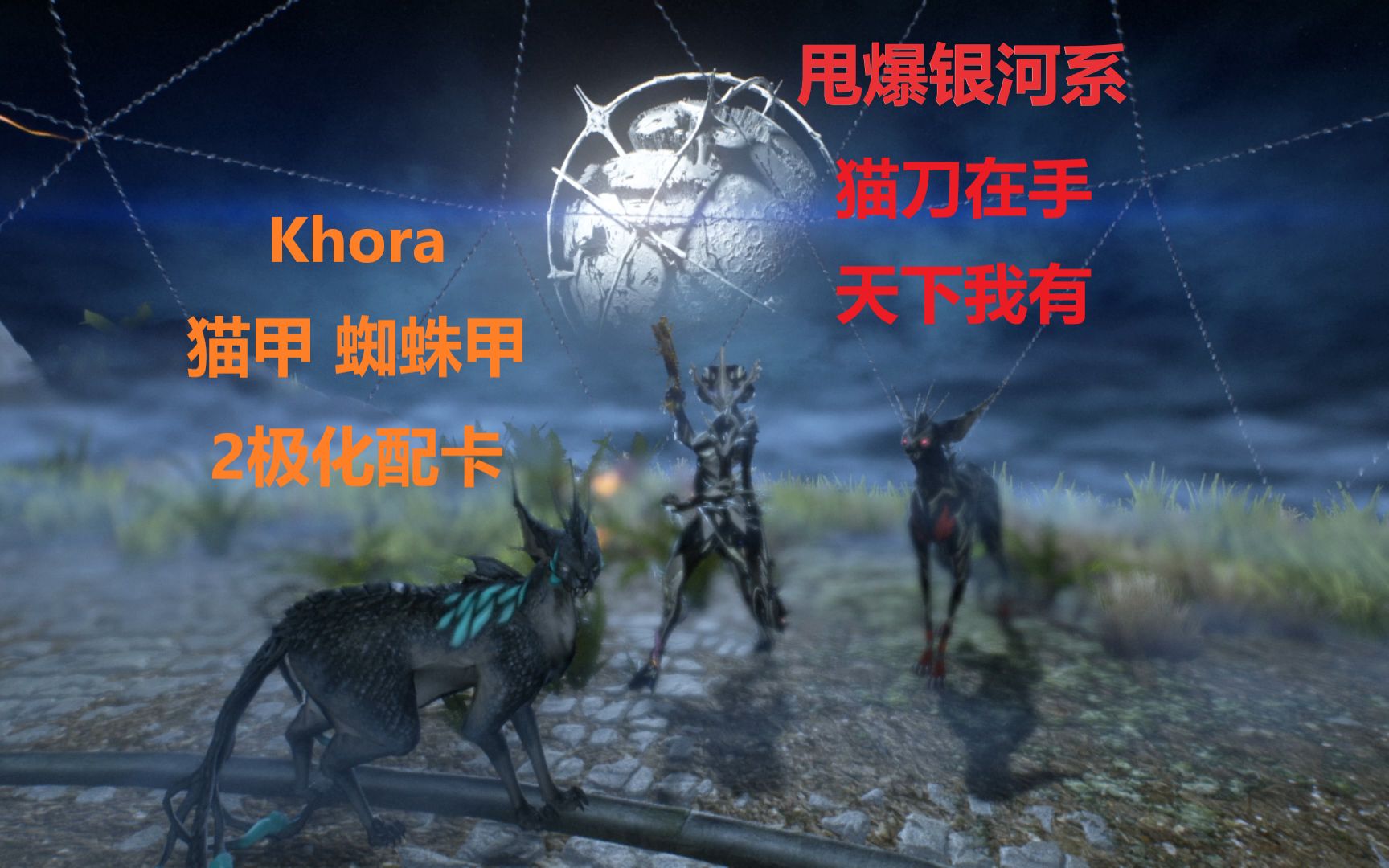 warframe猫刀在手天下我有khora猫甲蜘蛛甲2极化配卡