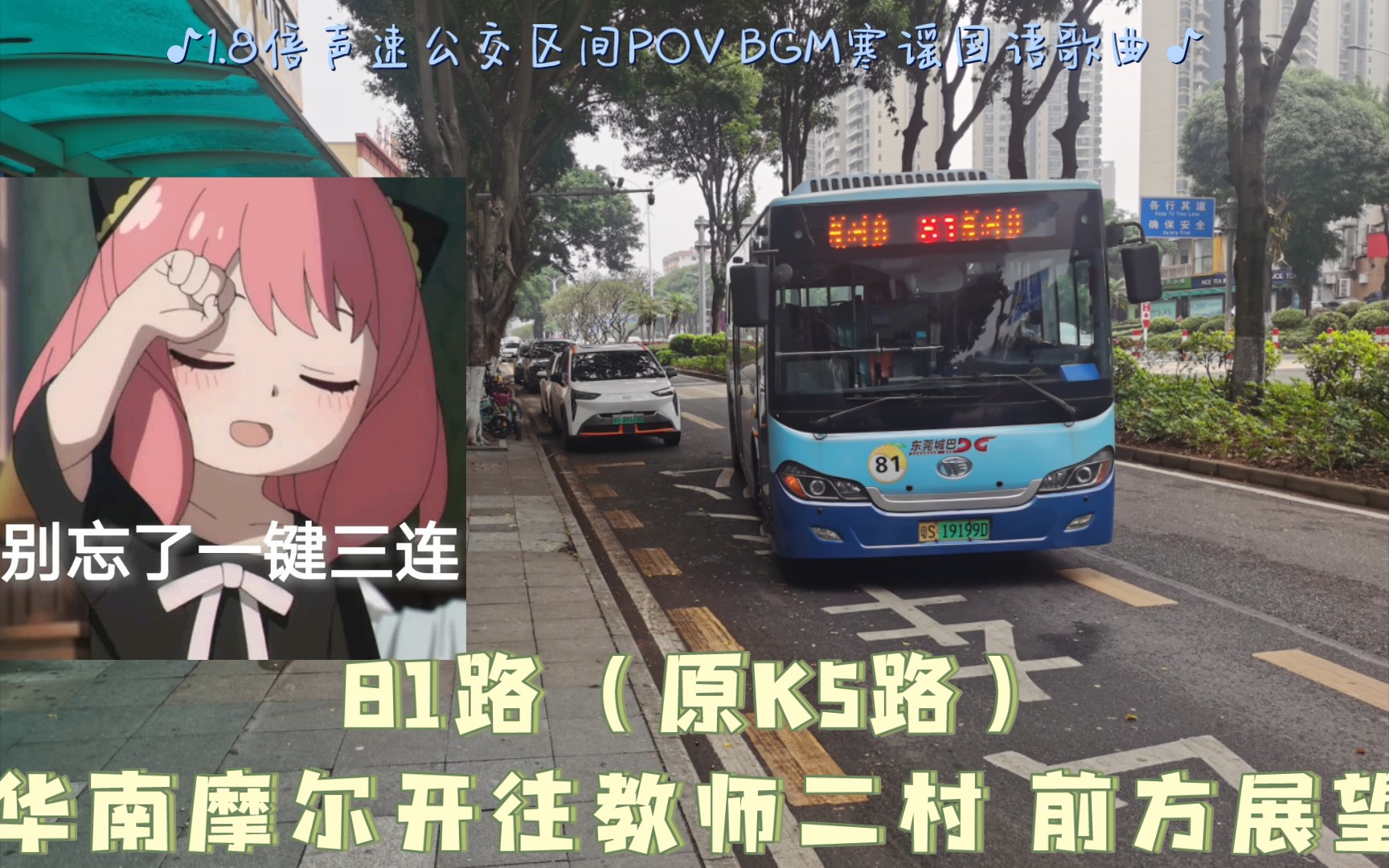 [POV201]东莞城巴81路(原K5路)华南摩尔开往教师二村 前方展望 1.8倍声速公交区间POV哔哩哔哩bilibili