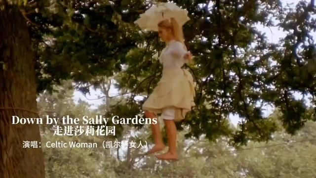 [图]《柳园里 走进莎莉花园 Down by the Sally Gardens》凯尔特女人Celtic Woman，爱尔兰女子组合，天籁之音，悦耳动听