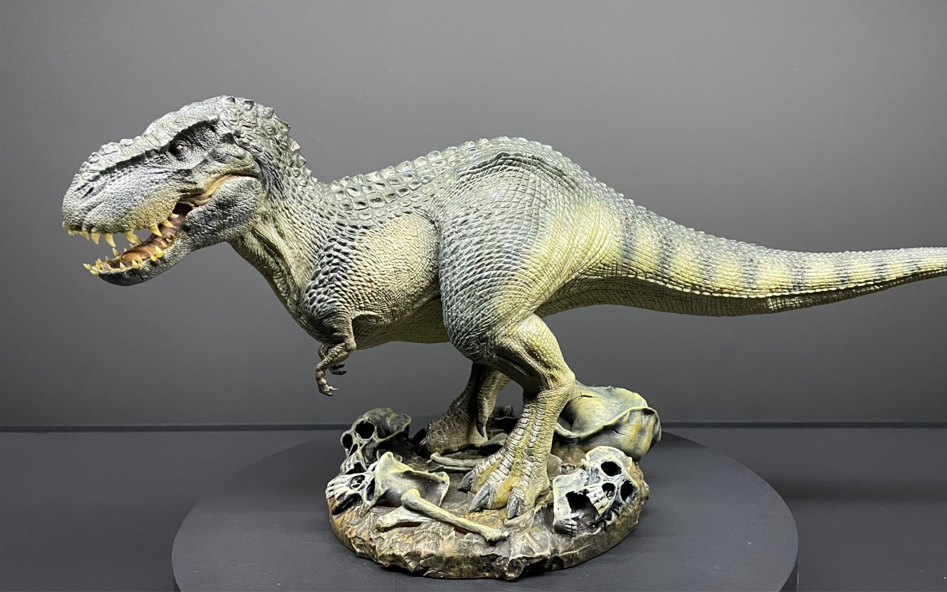 【本心楠改】骷髅岛顶级掠食者【毁灭君王龙】展示留念