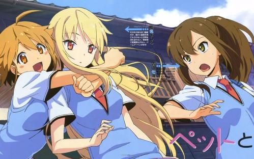 秒速五厘米境界的彼方樱花庄的宠物女孩四月是你的谎言