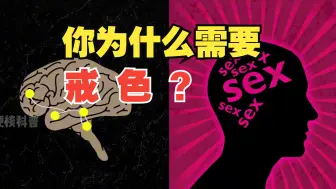 下载视频: 为什么全网都在劝你戒色？戒色后你的身体会发生什么变化？